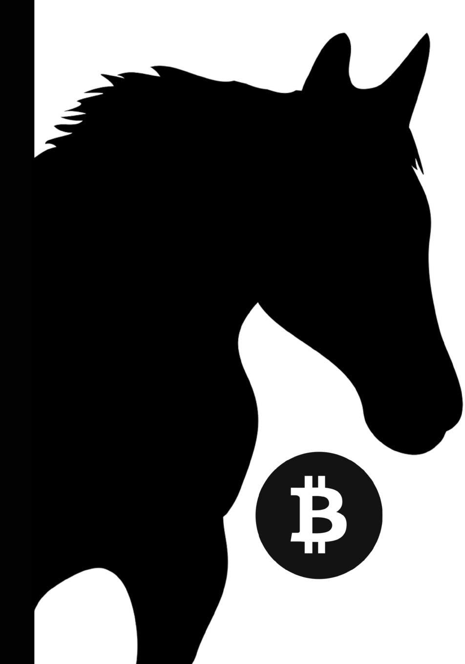B: Bound paper wallet recovery sheets for writing private passphrase word list mnemonic seed keys in a 7x10 softcover cryptocurrency notebook for long term cold storage (Bitcoin, Band 15) Books