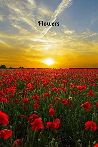 Flowers: Landscapes notebook, nature notebook,Flowers, Journal, Diary (120 Pages, Blank , 6 x 9) Mathematics