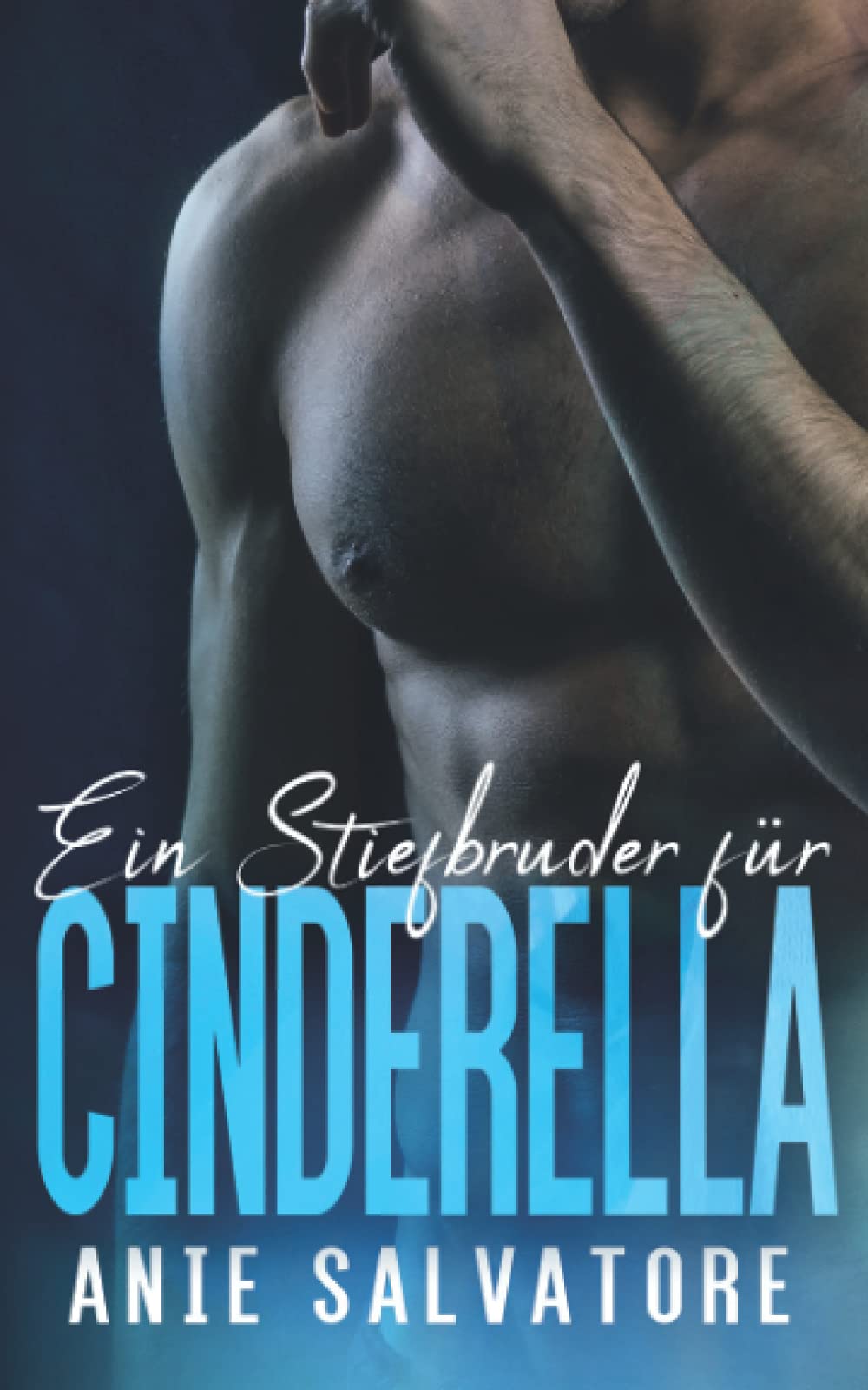Ein Stiefbruder für Cinderella New Adult