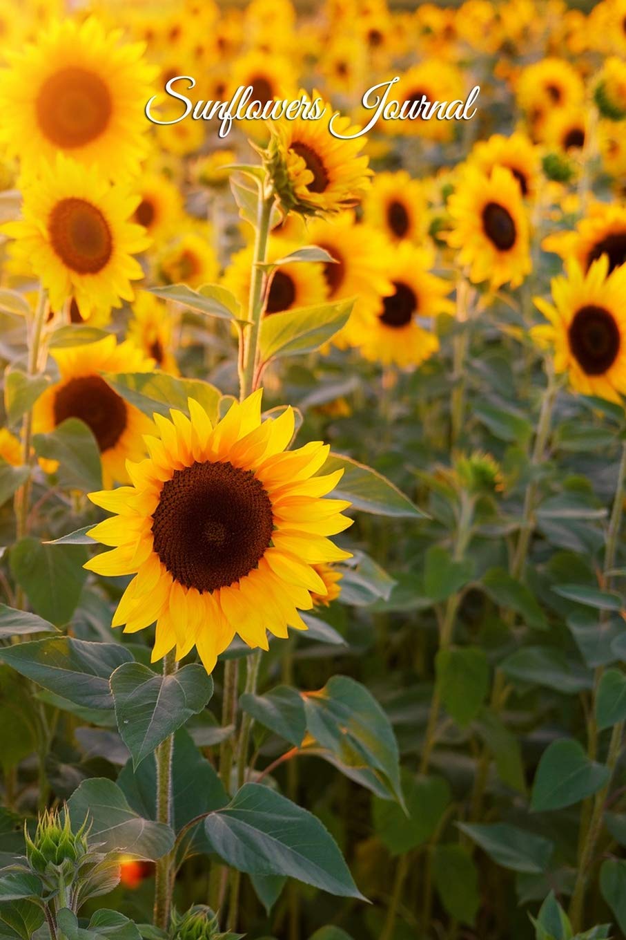 Sunflowers Journal: Floral Garden Notebook Plant Journal for Gardeners and Flower Lovers Garden & Plants