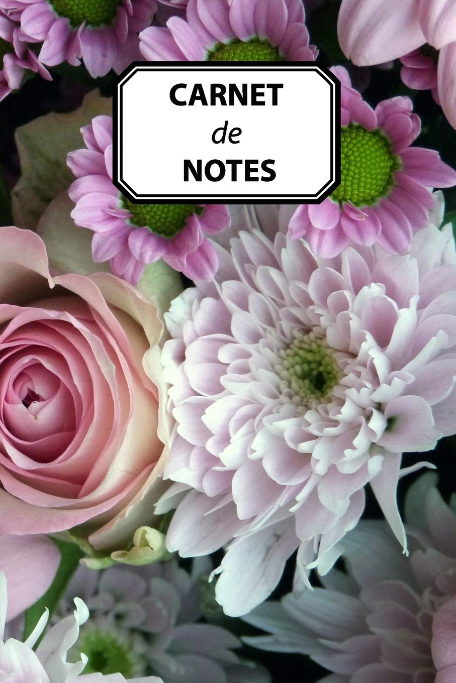 CARNET DE NOTES: Journal personnel, prise de notes, original & pratique de 110 pages lignées avec une couverture photo Geology & Geography