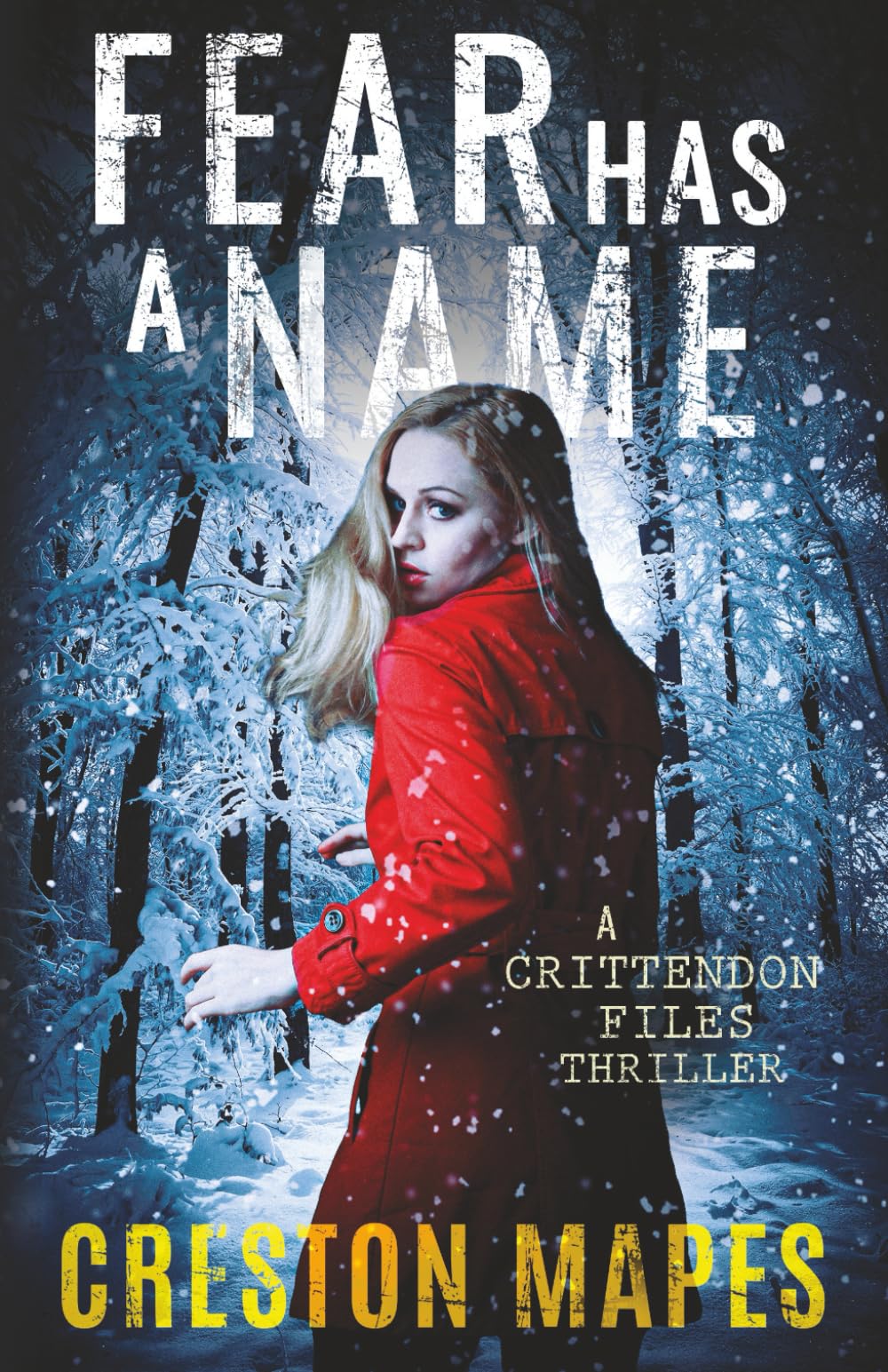 Fear Has a Name (The Crittendon Files, Band 1) Suspense & Thrillers