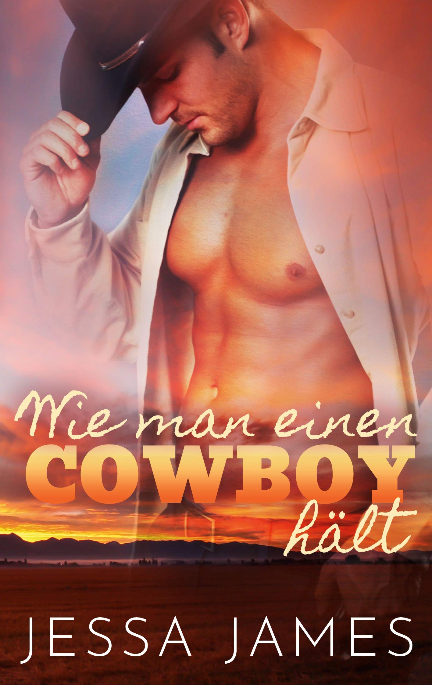 Wie man einen Cowboy hält Contemporary literature