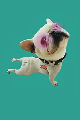 French Bulldog Yoga: Blank Lined Notebook, Journal or Diary Lifestyle