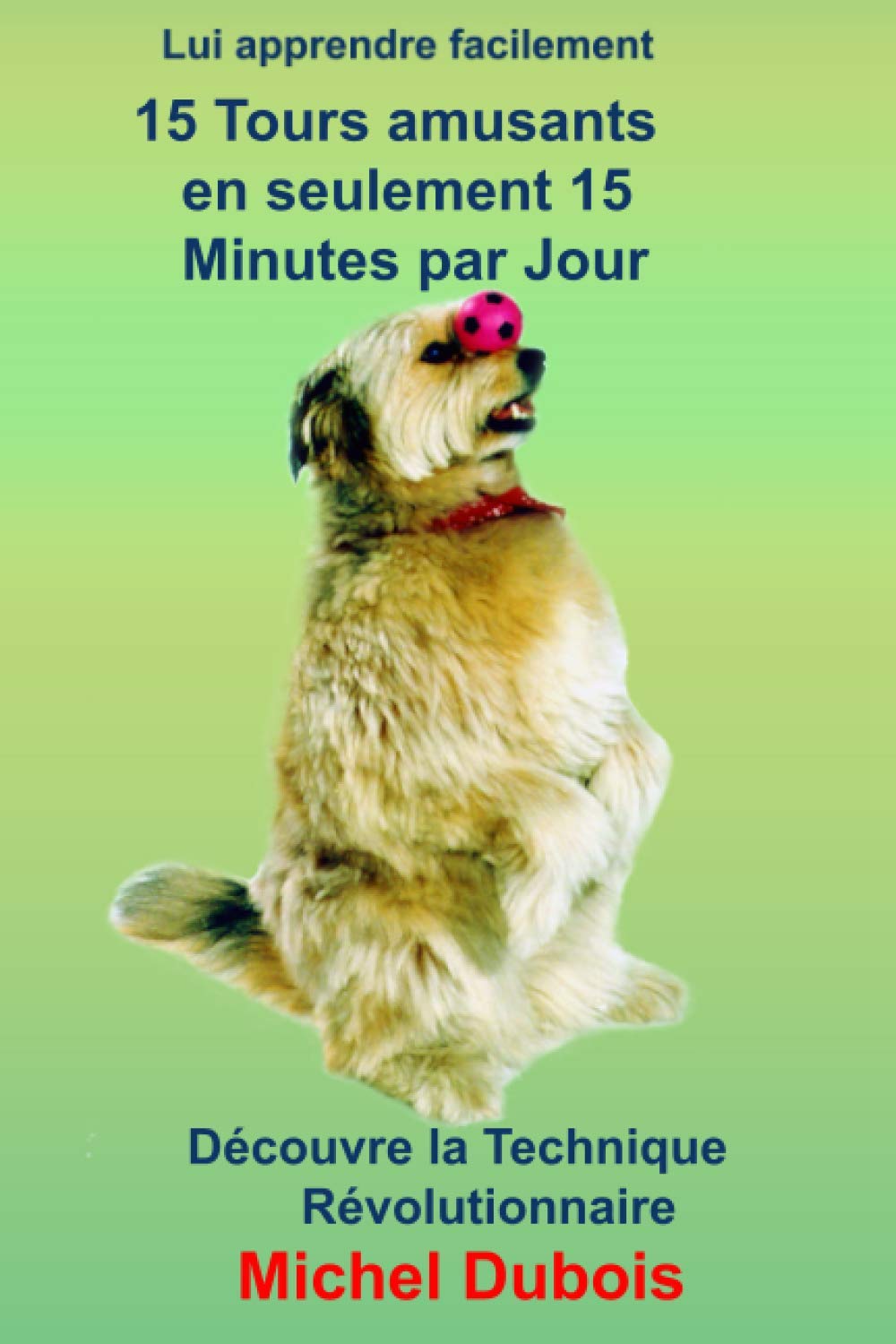 Lui apprendre 15 Tours amusants en seulement 30 Jours et 15 minutes par Jour: Eduquer son chien Pets