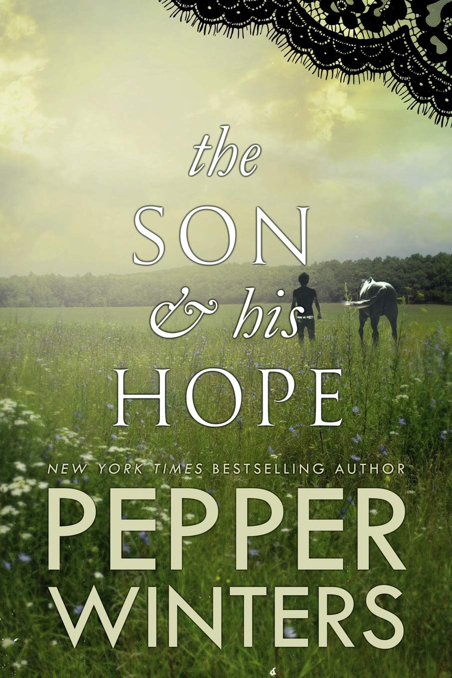 The Son & His Hope (Ribbon Duet, Band 4) Contemporary literature