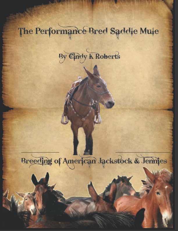 The Performance Bred Saddle Mule: Breeding of American Jackstock & Jennies Pets