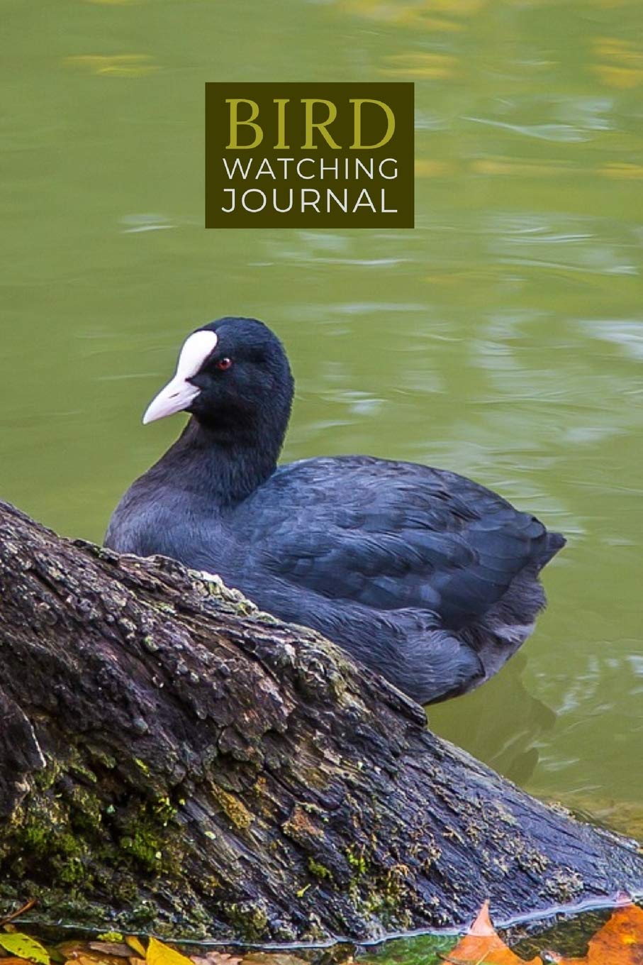 Bird Watching Journal: Bird Sightings Diary to Write and Sketch in Mathematics