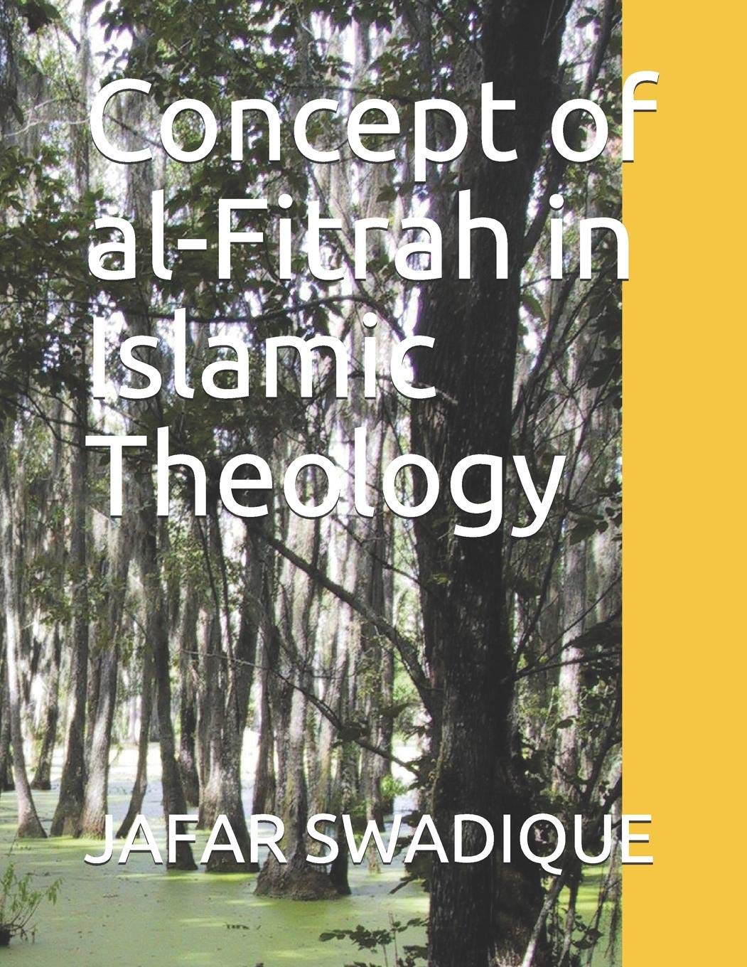 Concept of al-Fitrah in Islamic Theology (Aqeeda, Band 2) Religion & Esotericism