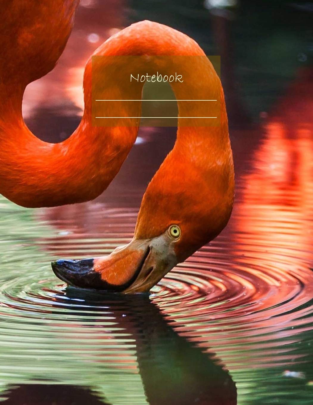 Notebook: Large notebook with 120 Lined pages. Wide ruled. Ideal for School notes, Journaling, Hand lettering, Calligraphy practice. Perfect gift. 8.5’ x 11.0’ (Large). (Flamingo cover). Film, Art & Culture