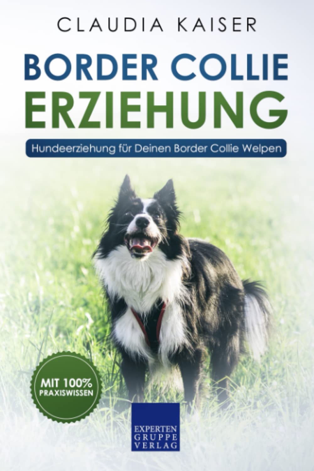 Border Collie Erziehung: Hundeerziehung für Deinen Border Collie Welpen Pets