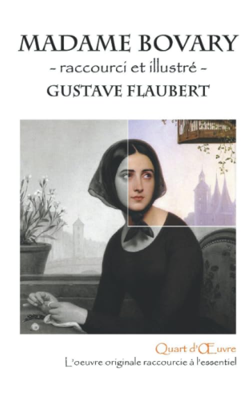 Madame Bovary - raccourci et illustré book