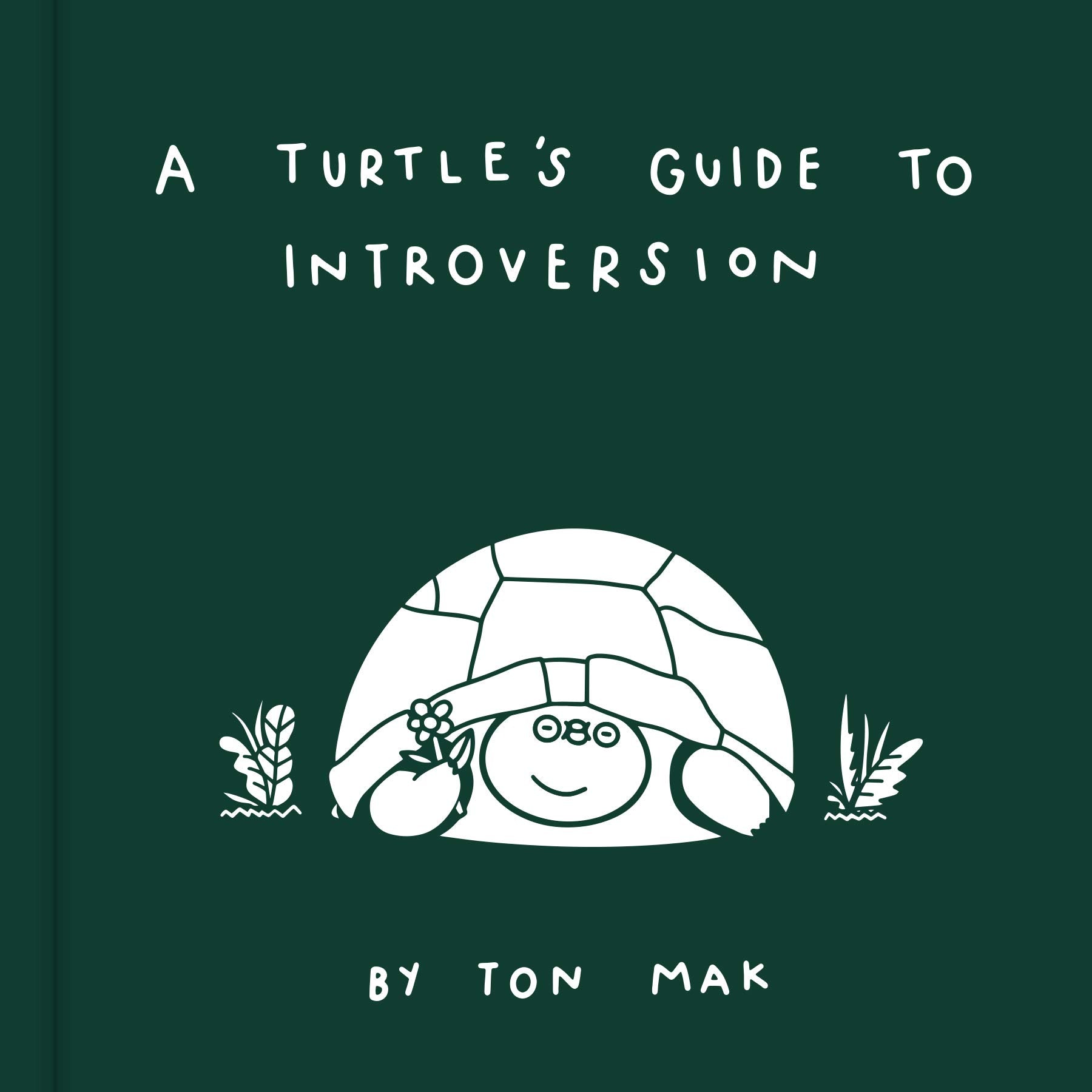 A Turtle's Guide to Introversion Film, Art & Culture