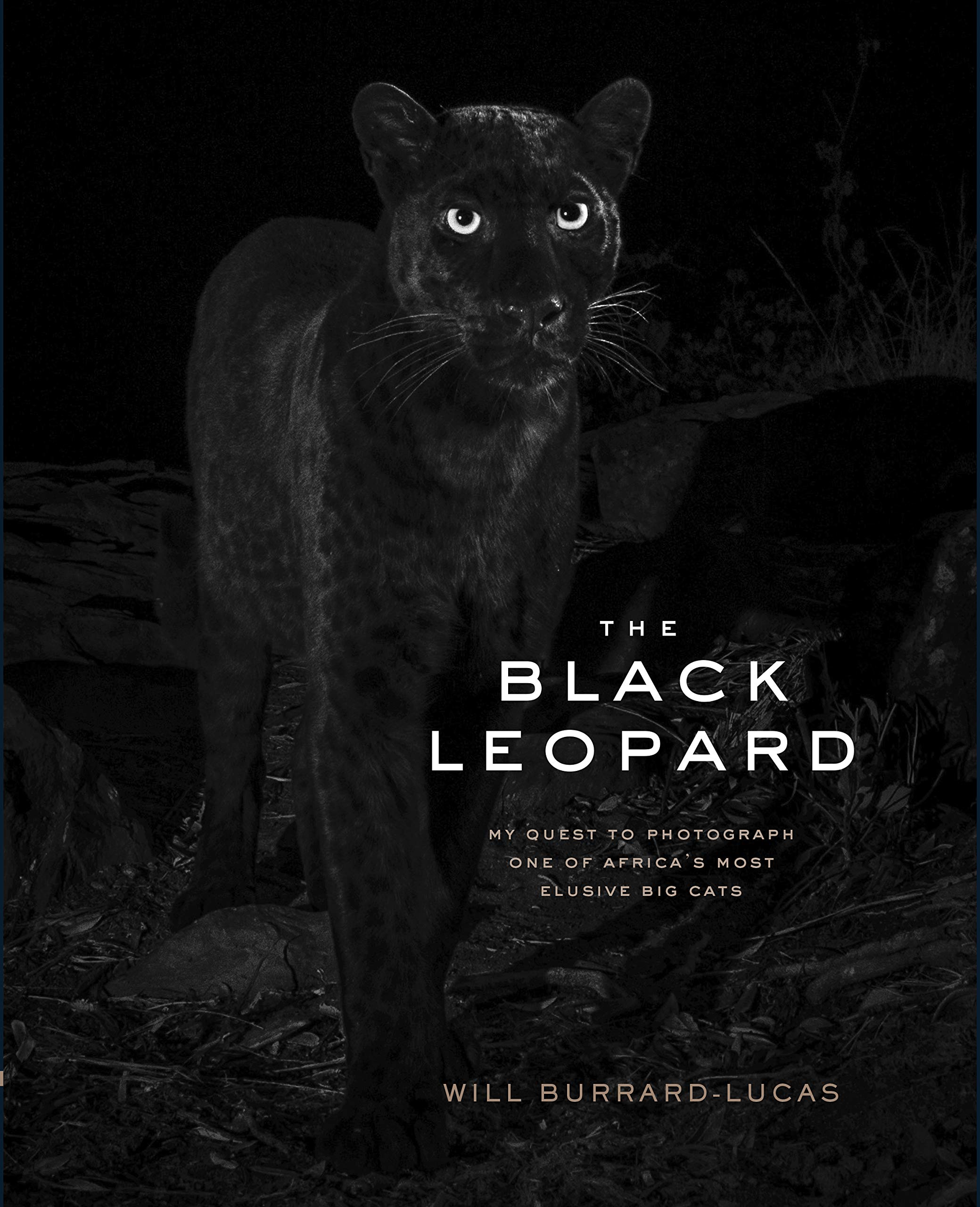 The Black Leopard: My Quest to Photograph One of Africa’s Most Elusive Big Cats Memories