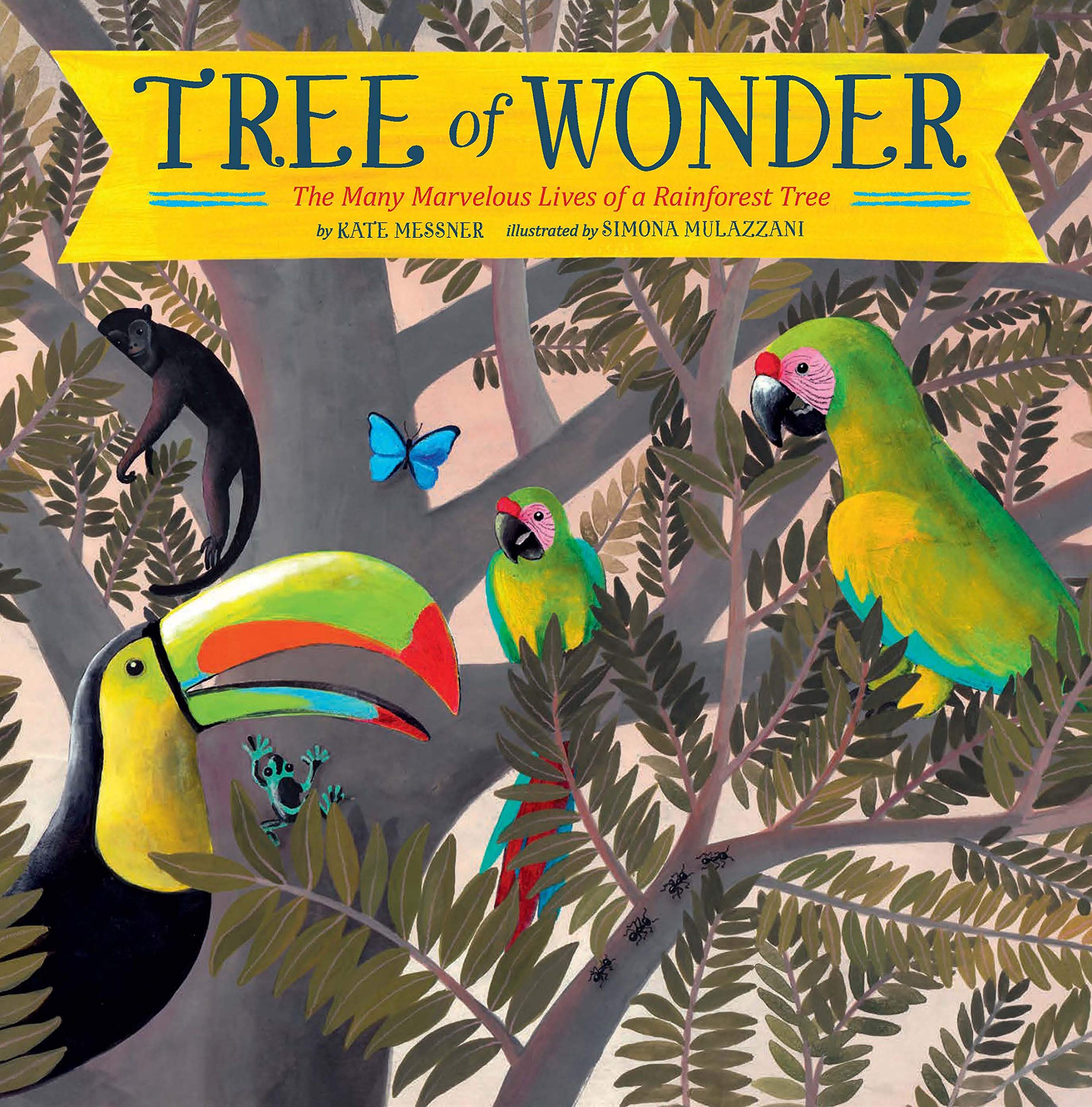 Tree of Wonder: The Many Marvelous Lives of a Rainforest Tree: 1 Business & Technology