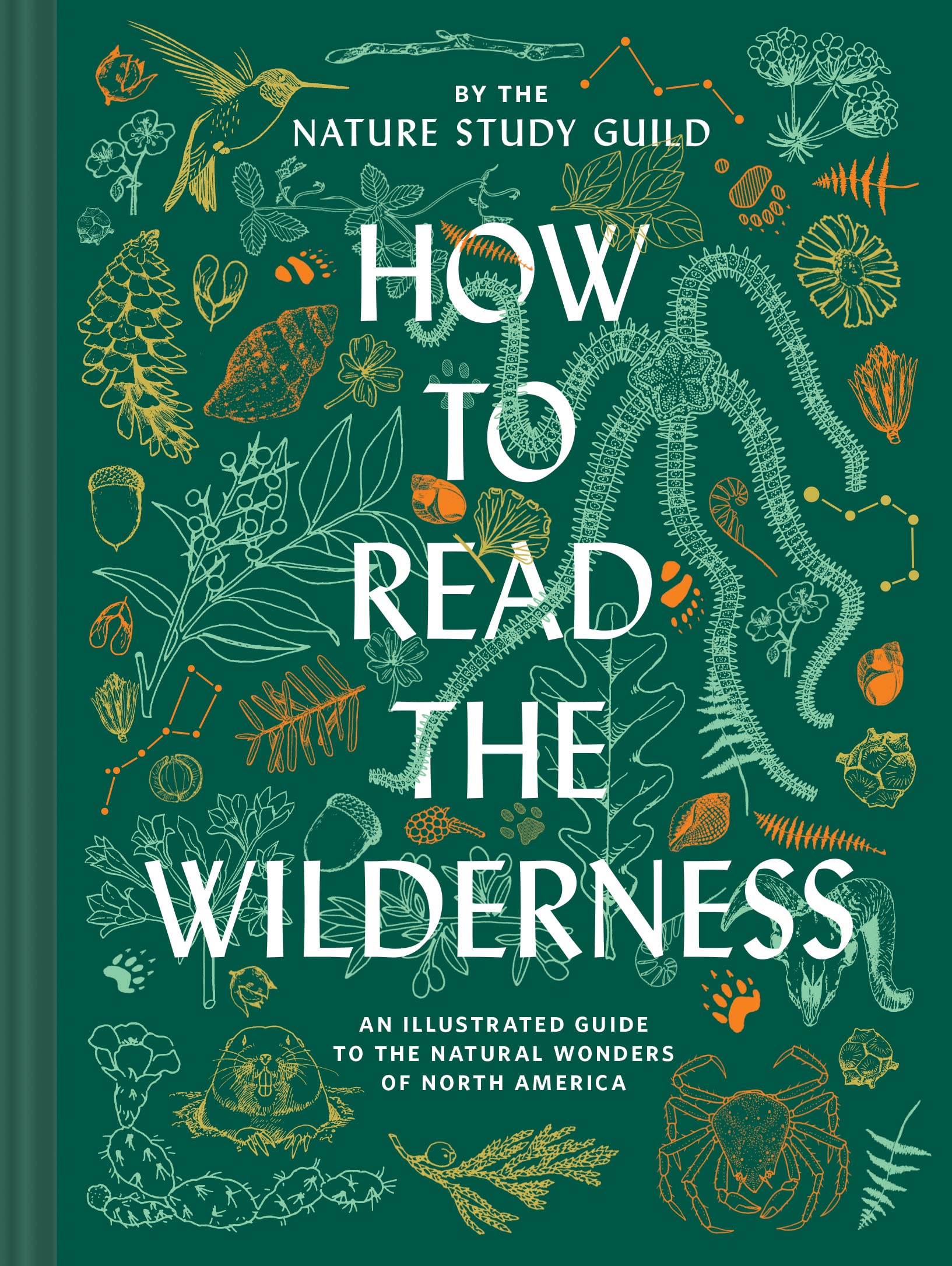 How to Read the Wilderness: An Illustrated Guide to the Natural Wonders of North America Mathematics