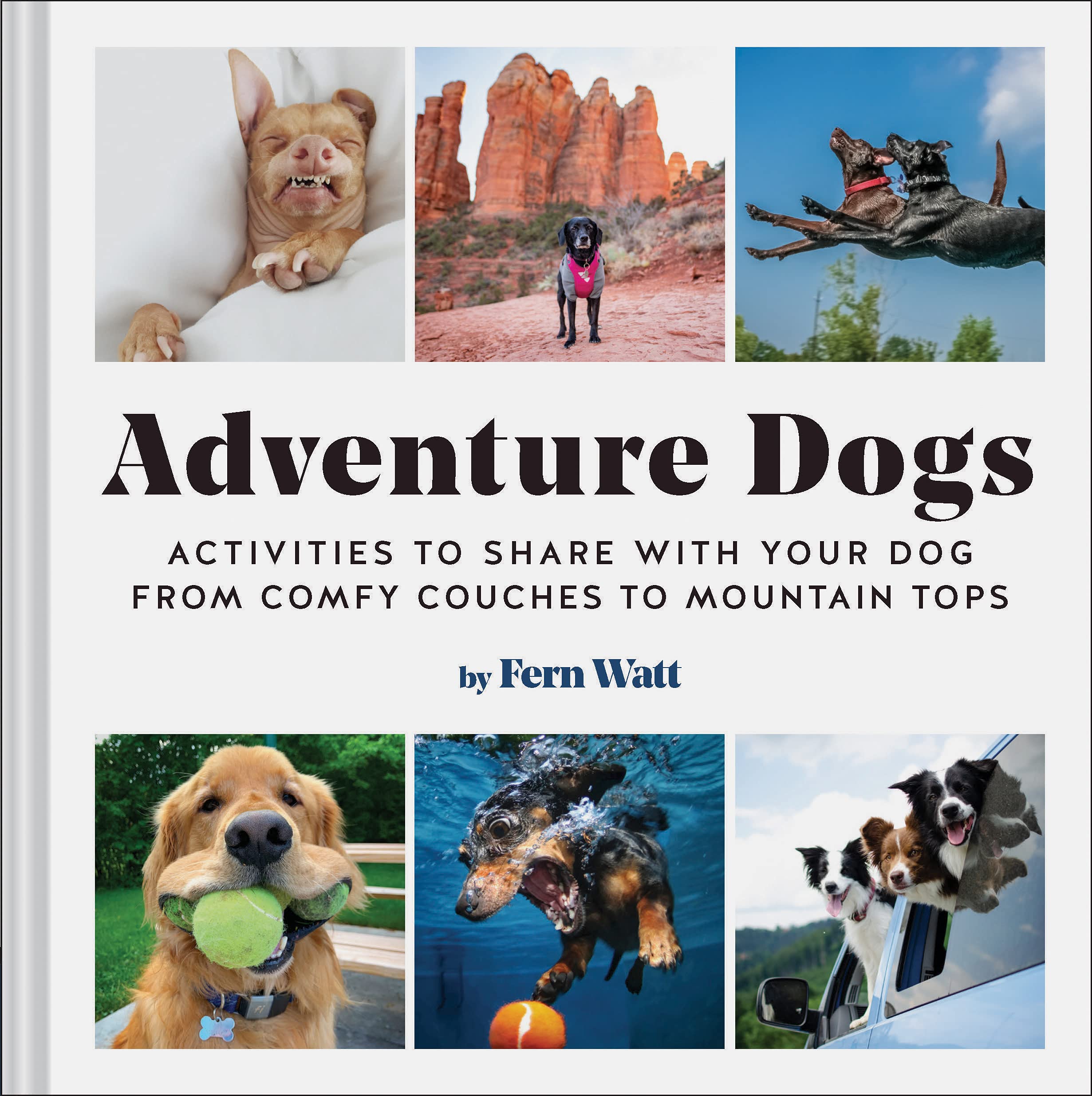 Adventure Dogs: Activities to Share with Your Dog―from Comfy Couches to Mountain Tops Film, Art & Culture