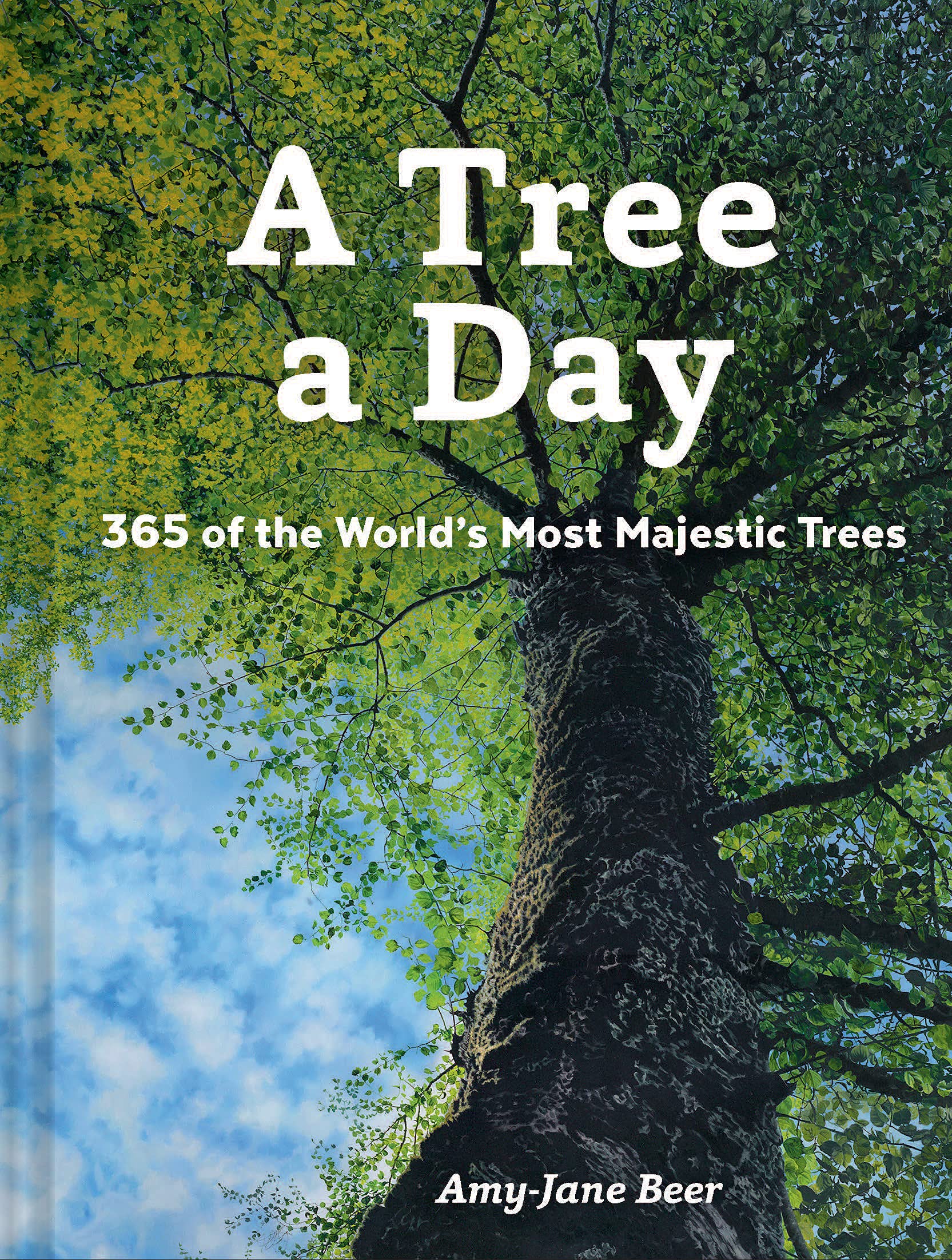 A Tree a Day: 365 of the World's Most Majestic Trees Mathematics