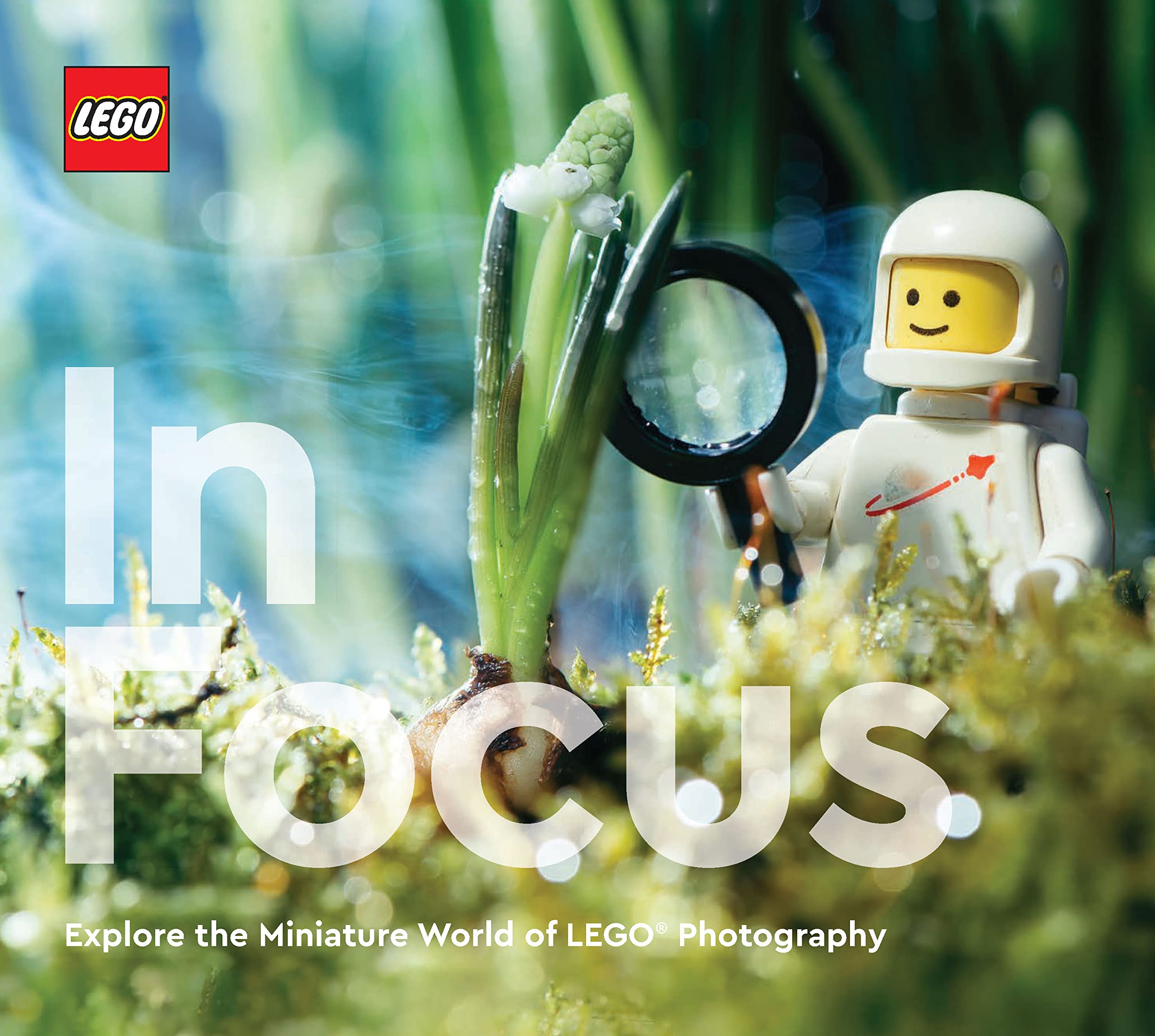 LEGO In Focus Books
