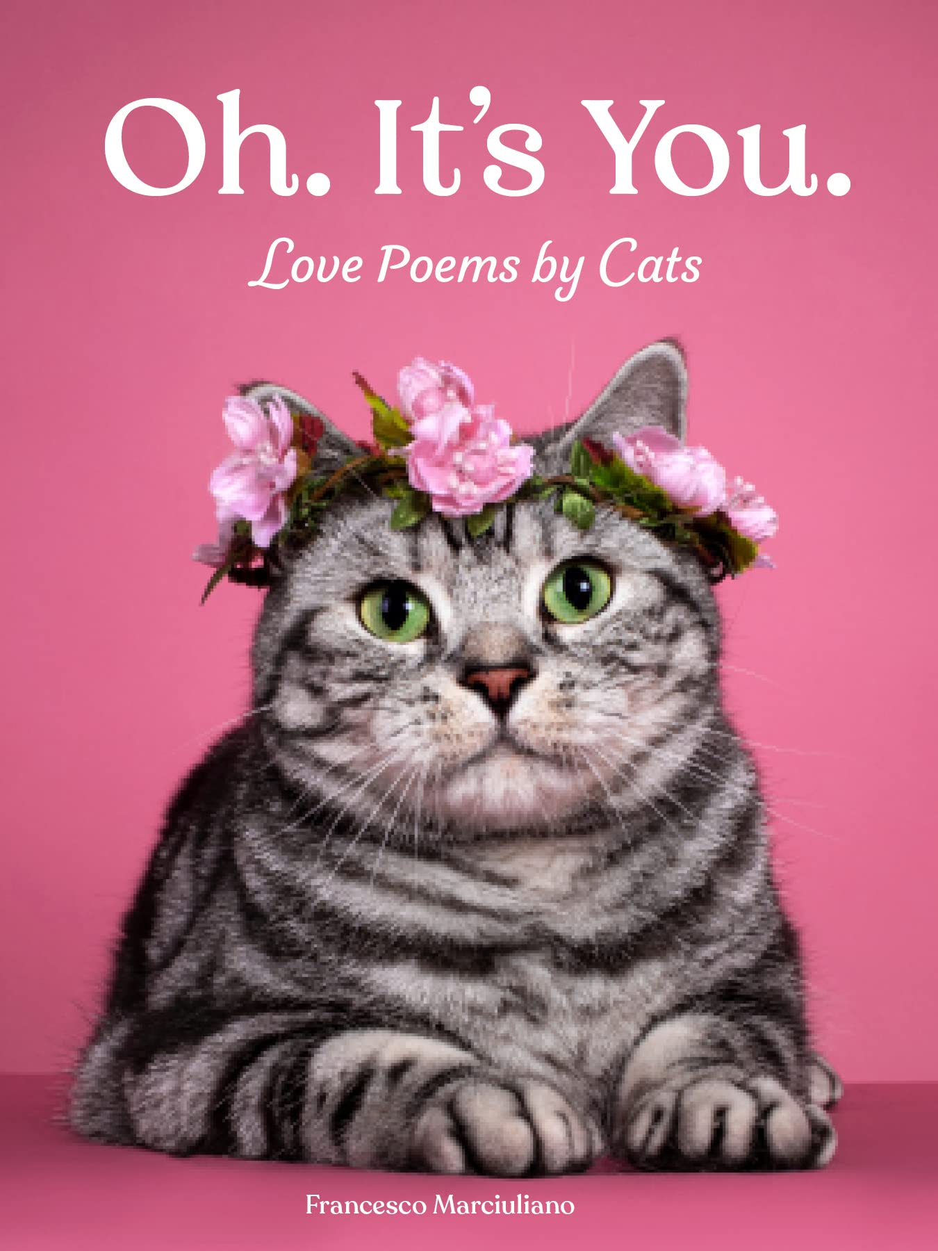 Oh. It's You.: Love Poems by Cats Poetry