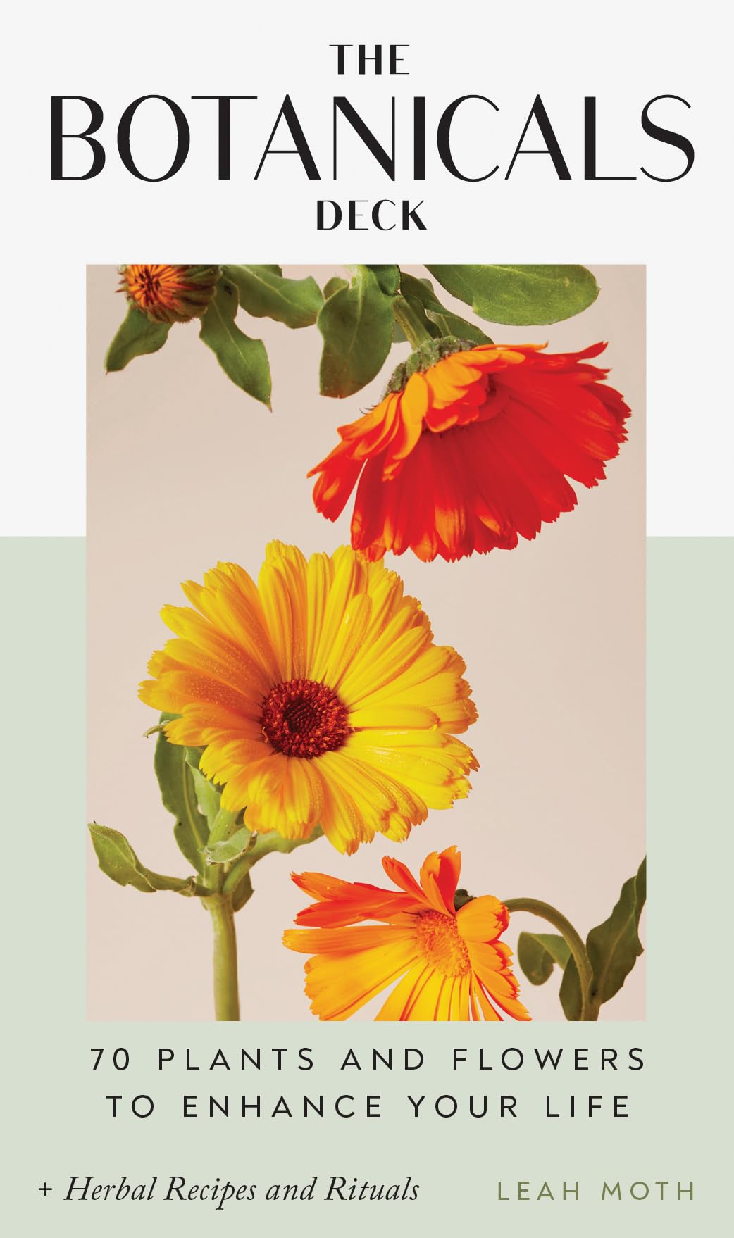 The Botanicals Deck: 70 Plants and Flowers to Enhance Your Life―Plus Herbal Recipes and Rituals Mathematics