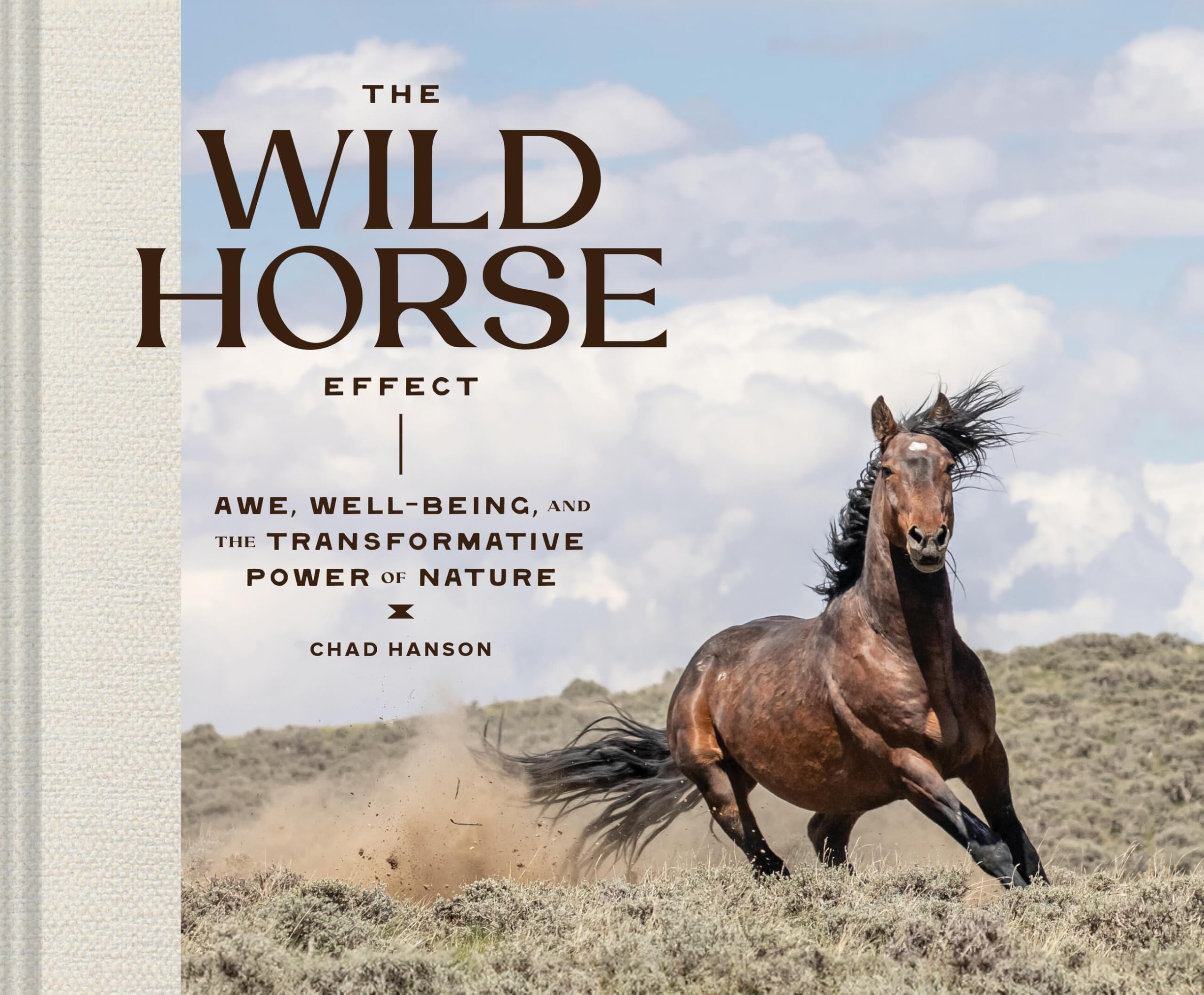 The Wild Horse Effect: Awe, Well-Being, and the Transformative Power of Nature Mathematics