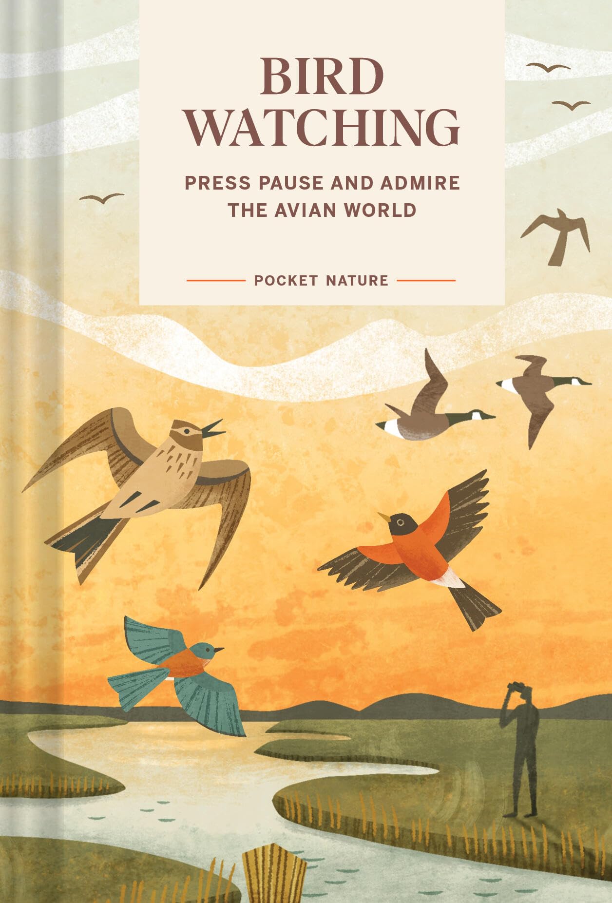 Pocket Nature: Bird-Watching: Press Pause and Admire the Avian World Mathematics