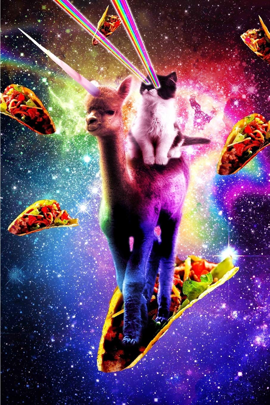 Cosmic Cat Riding Alpaca Unicorn Daily Weekly Planner Contemporary literature