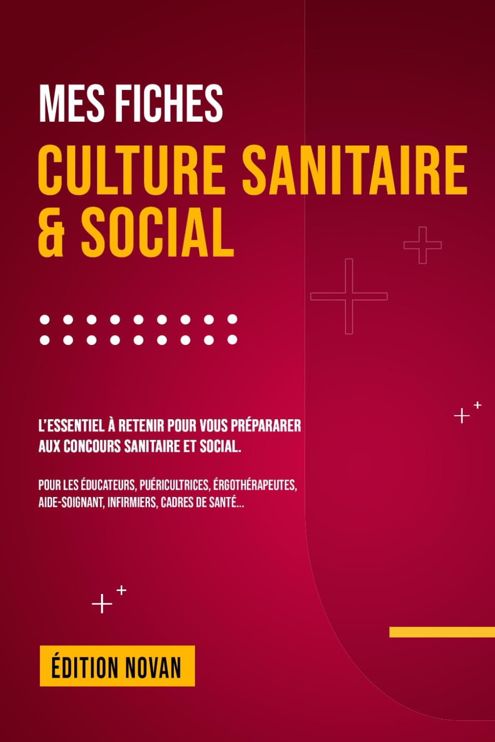 Mes fiches culture sanitaire et social: préparation aux concours du domaine sanitaire et social Medicine