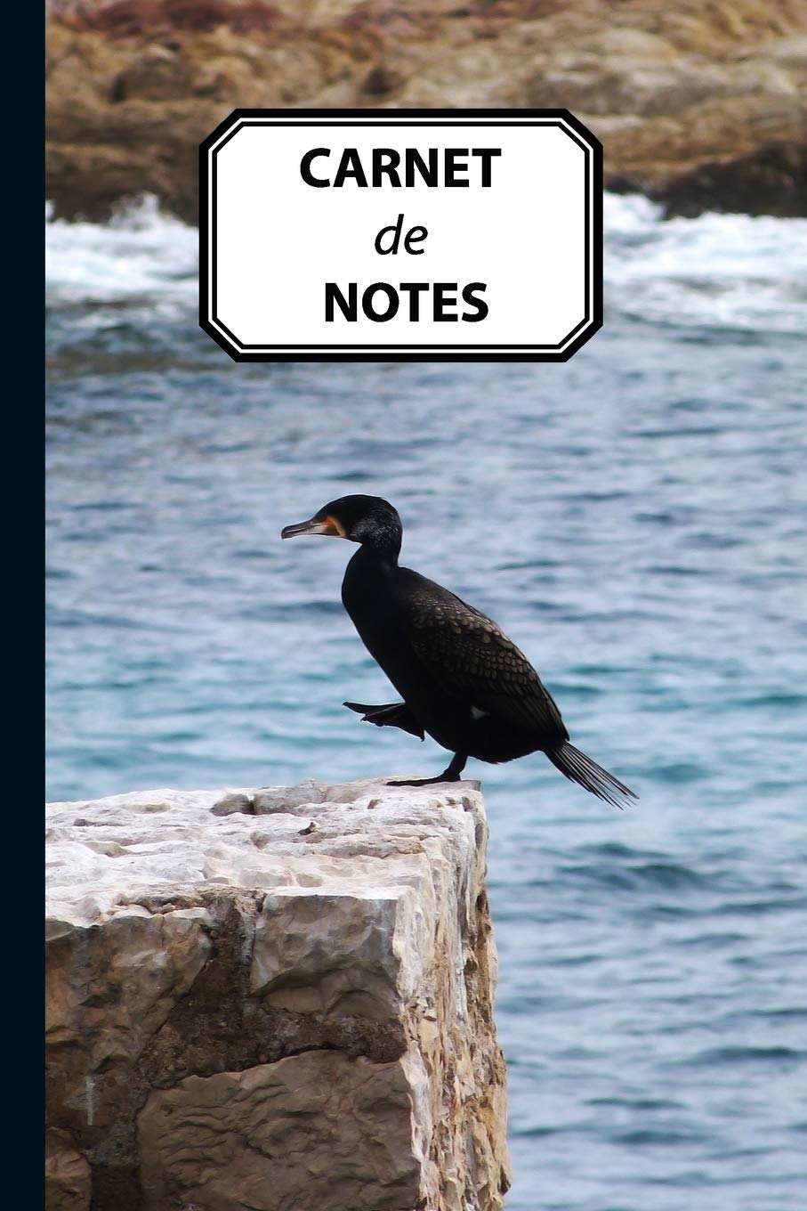 CARNET DE NOTES: Journal personnel, prise de notes, original & pratique de 110 pages lignées avec une couverture photo Geology & Geography