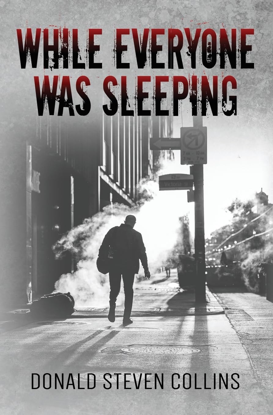 While Everyone Was Sleeping: A Litchfield & Danski novel (The Danski & Litchfield Cold Case Files, Band 2) Contemporary literature
