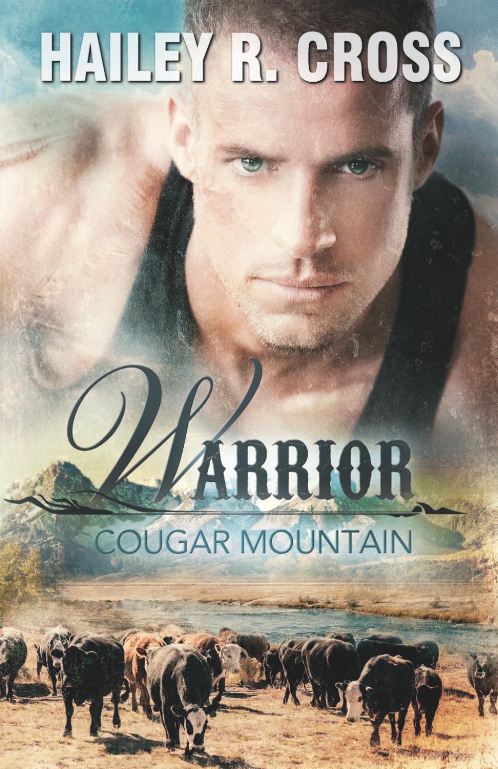 Cougar Mountain Warrior Romantic Thrillers Books