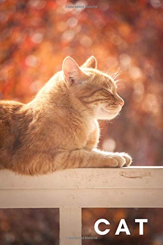 Cat: Animal Notebook for Kids, Notebook for Coloring Drawing and Writing (110 Pages, Blank, 6 x 9) (Animal Notebook) Hobbies & Crafts