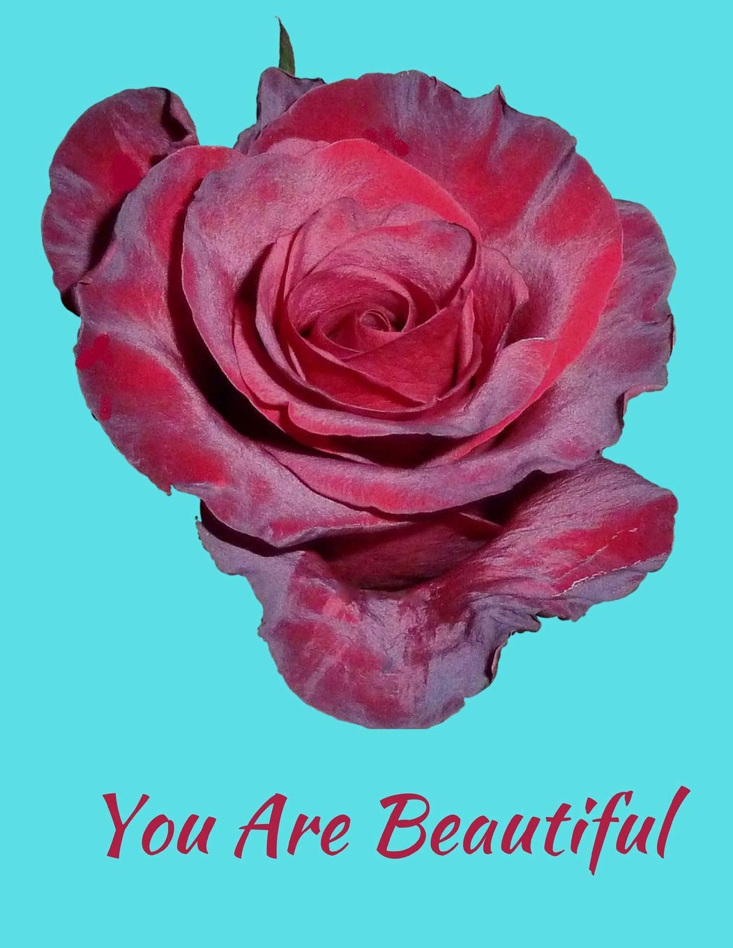 You Are Beautiful Red Rose Notebook Journal 120 College Ruled Pages 8.5 X 11 Essays & Short Stories