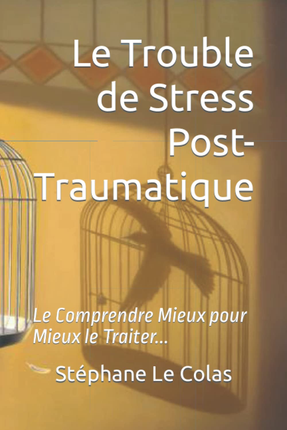 Le Trouble de Stress Post-Traumatique: Le Comprendre Mieux pour Mieux le Traiter... (Hypnose & Traumas) Medicine