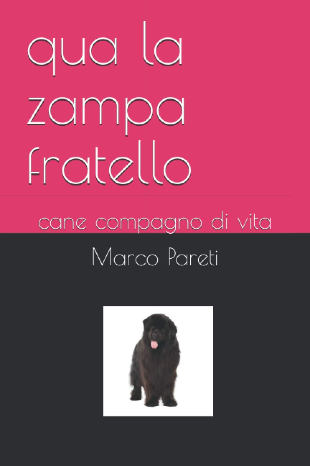 qua la zampa fratello: cane compagno di vita Contemporary literature