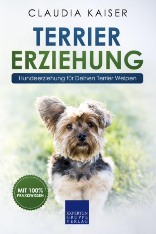 Terrier Erziehung: Hundeerziehung für Deinen Terrier Welpen Pets