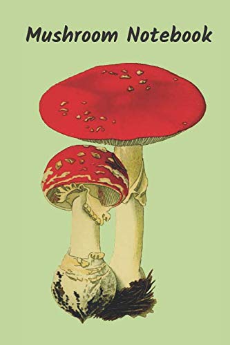 Mushroom Notebook: Notebooks for Everybody, Sketch, Calculate, Drawing and Writing (110 Pages, Blank, 6 x 9)(Vegetable Notebooks) Garden & Plants