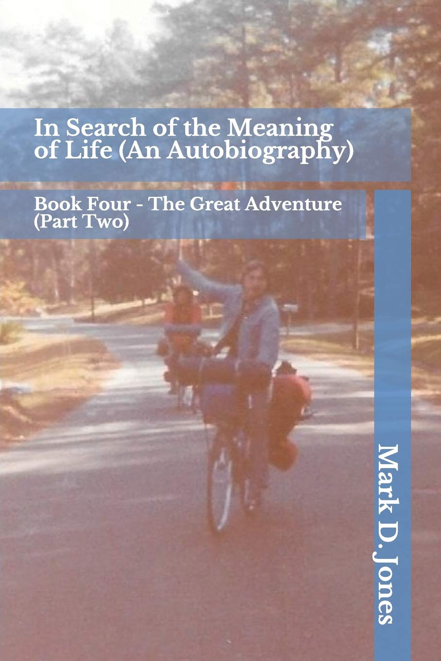 In Search of the Meaning of Life (An Autobiography): Book Four - The Great Adventure (Part Two) Politics & Society Books