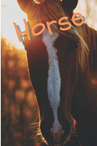 Horse: Horse Notebook journal diary with 64 lined pages (6" x 9") International