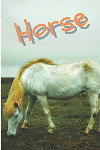 Horse: Horse Notebook journal diary with 64 lined pages (6" x 9") International