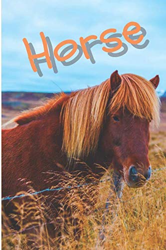 Horse: Horse Notebook journal diary with 64 lined pages (6" x 9") International