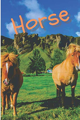 Horse: Horse Notebook journal diary with 64 lined pages (6" x 9") International