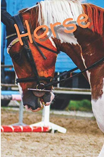 Horse: Horse Notebook journal diary with 64 lined pages (6" x 9") International
