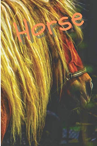 Horse: Horse Notebook journal diary with 64 lined pages (6" x 9") International
