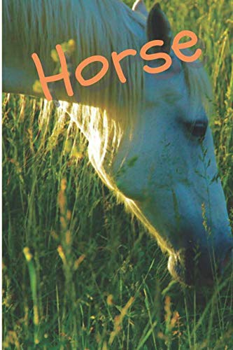 Horse: Horse Notebook journal diary with 64 lined pages (6" x 9") International