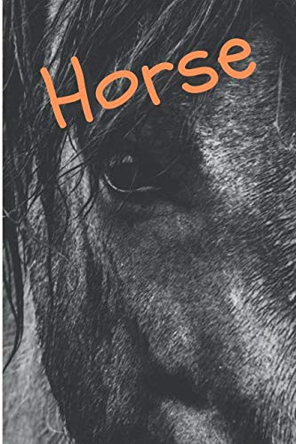Horse: Horse Notebook journal diary with 64 lined pages (6" x 9") International