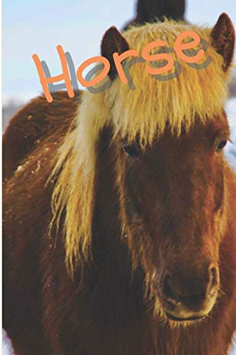 Horse: Horse Notebook journal diary with 64 lined pages (6" x 9") International