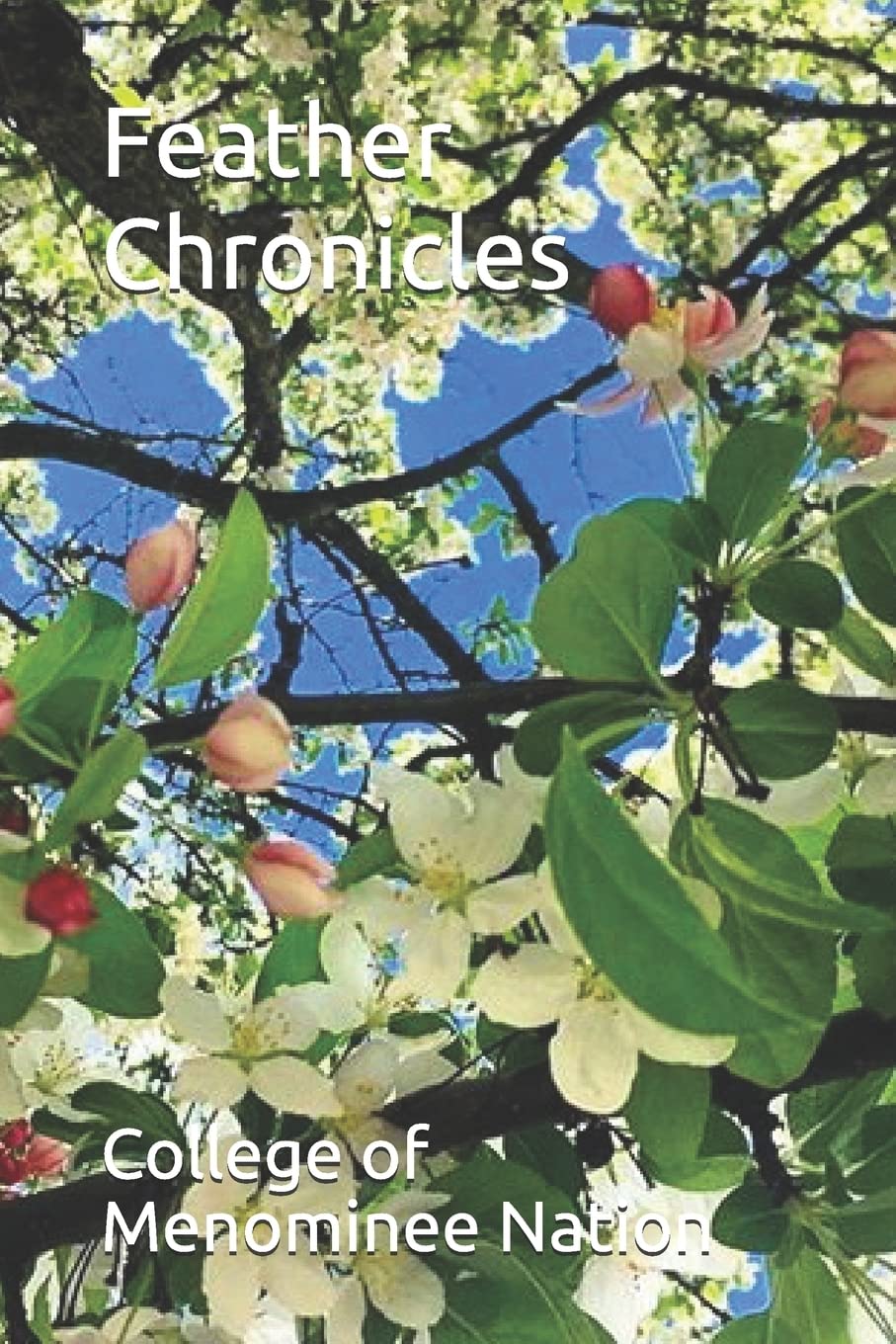 Feather Chronicles Contemporary literature