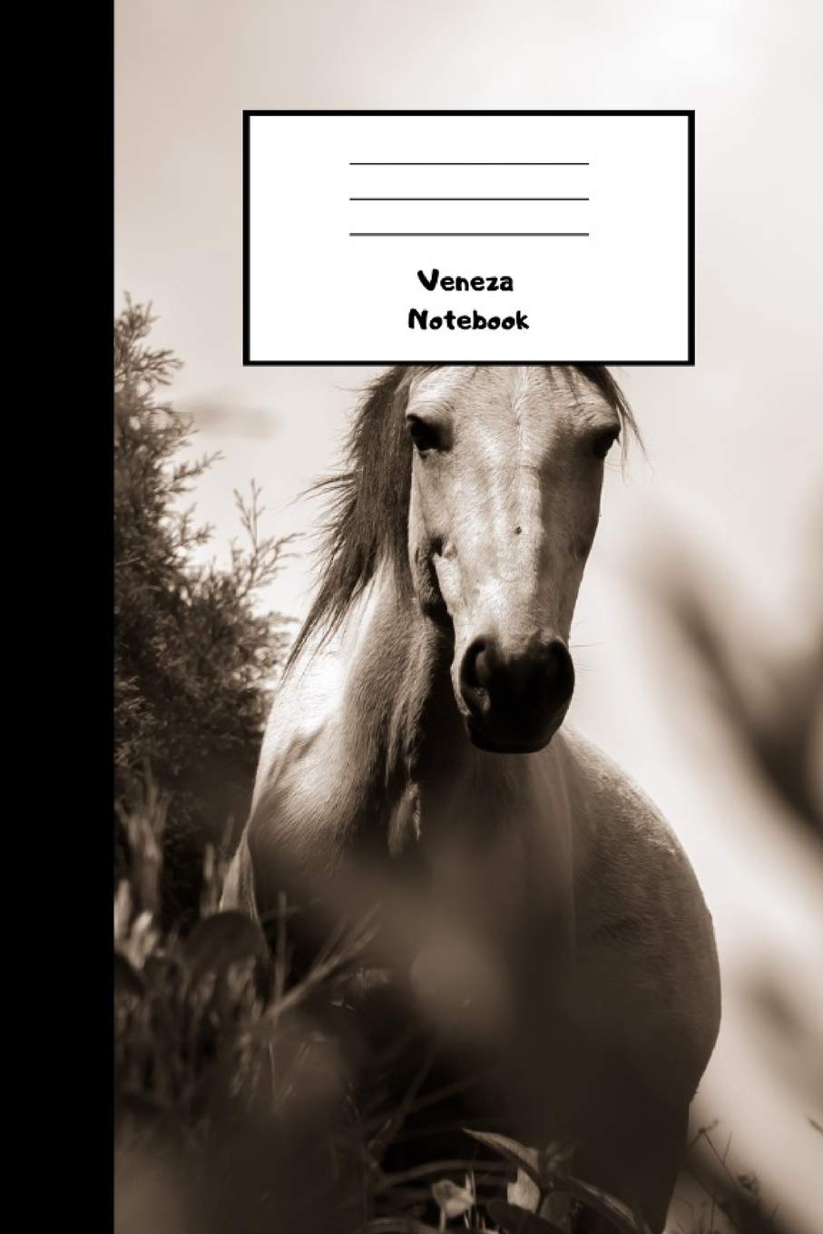 Veneza Notebook: 110 Lined Pages, 6 x 9 inches, Daily Paperback Notebook, Journal, Diary Book, Book For Gift, Funny Gift Mathematics